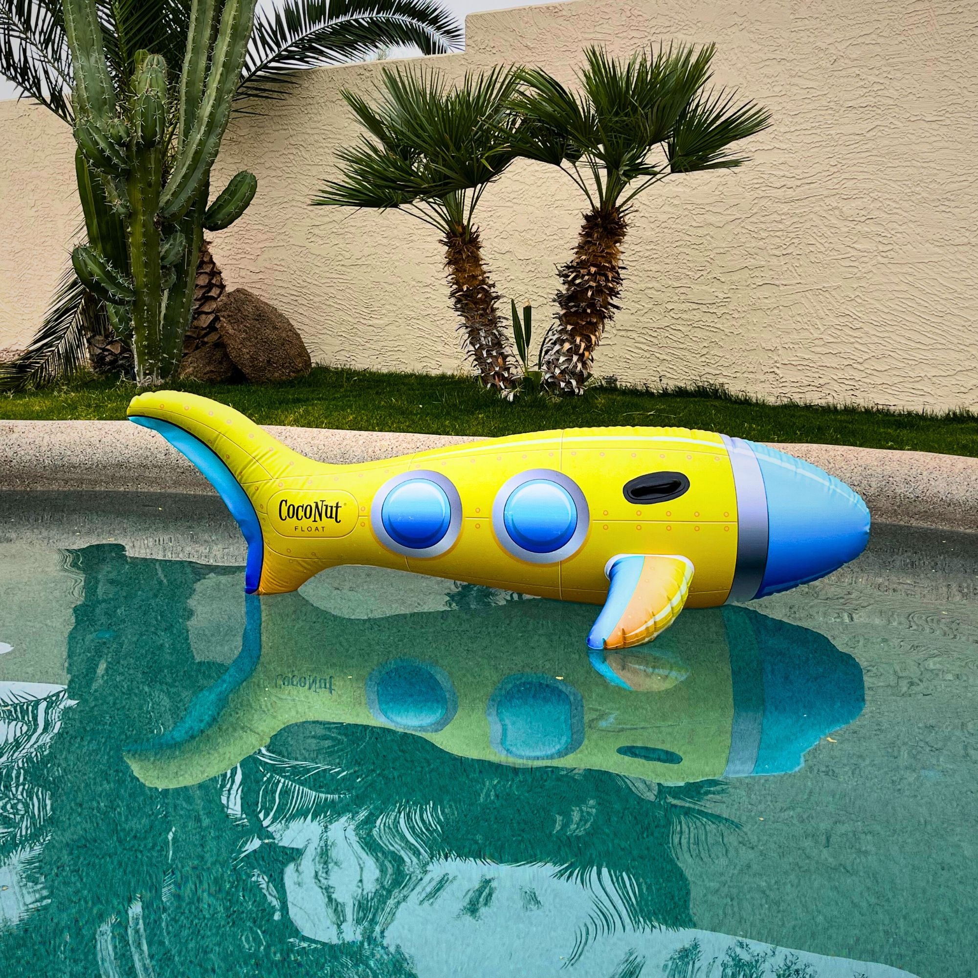 Ride on hot sale pool float